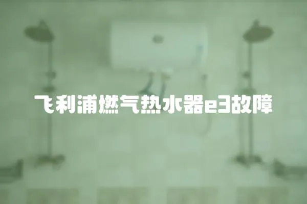 飛利浦燃氣熱水器e3故障
