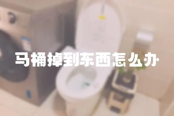 馬桶掉到東西怎么辦
