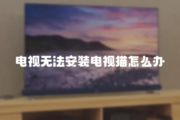 電視無法安裝電視貓?jiān)趺崔k