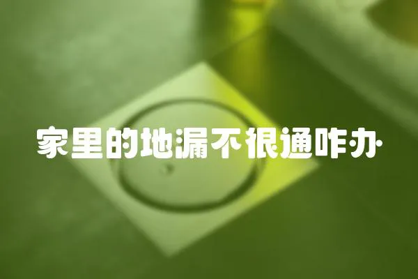 家里的地漏不很通咋辦