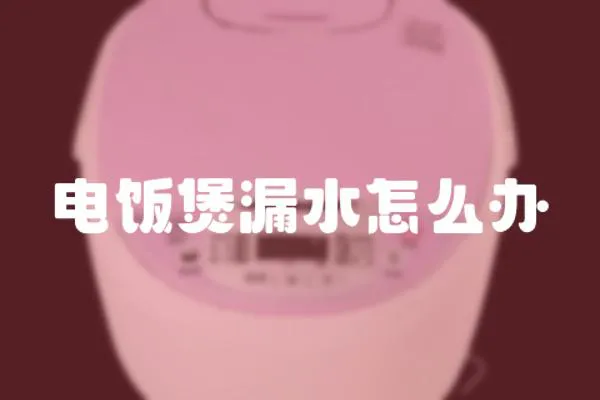 電飯煲漏水怎么辦