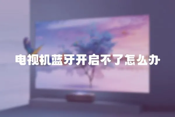 電視機藍牙開啟不了怎么辦