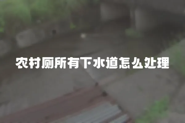 農村廁所有下水道怎么處理
