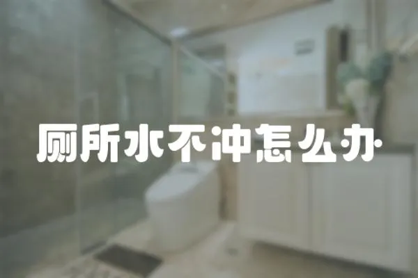 廁所水不沖怎么辦