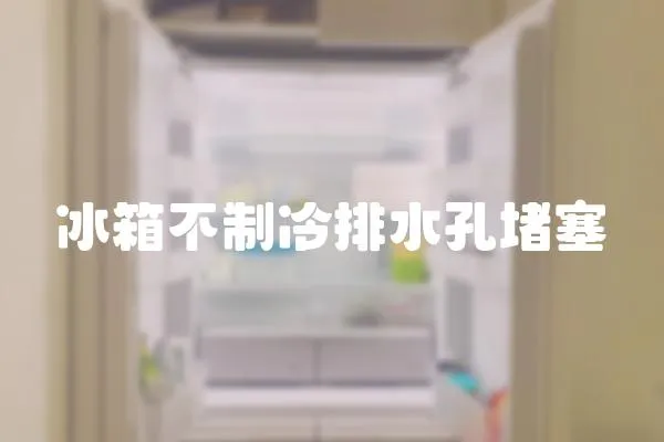 冰箱不制冷排水孔堵塞