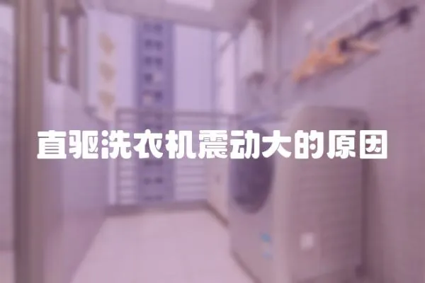 直驅洗衣機震動大的原因