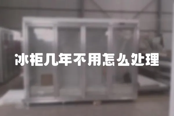 冰柜幾年不用怎么處理