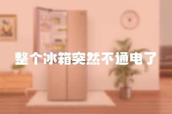 整個冰箱突然不通電了