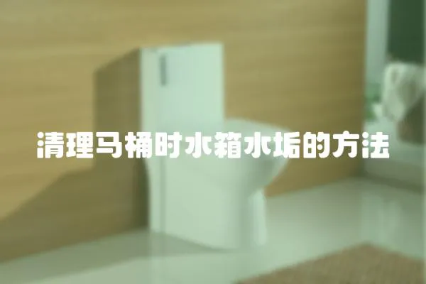 清理馬桶時水箱水垢的方法