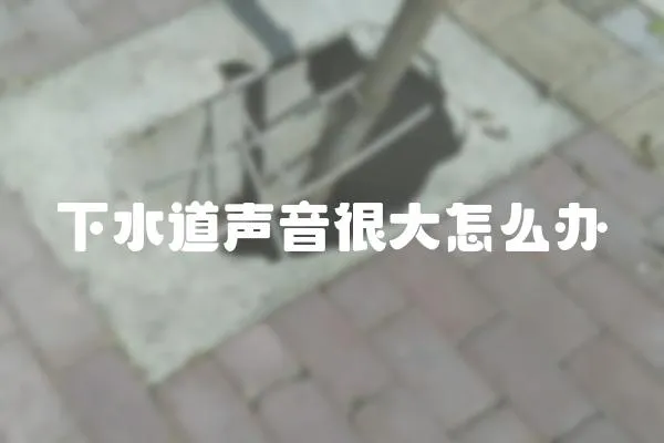 下水道聲音很大怎么辦