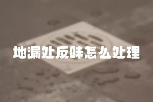 地漏處反味怎么處理