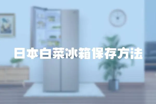 日本白菜冰箱保存方法