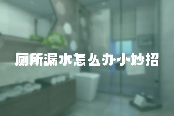 廁所漏水怎么辦小妙招