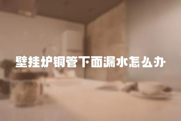 壁掛爐銅管下面漏水怎么辦