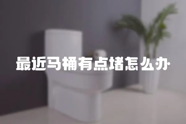 最近马桶有点堵怎么办