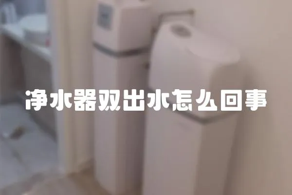 凈水器雙出水怎么回事