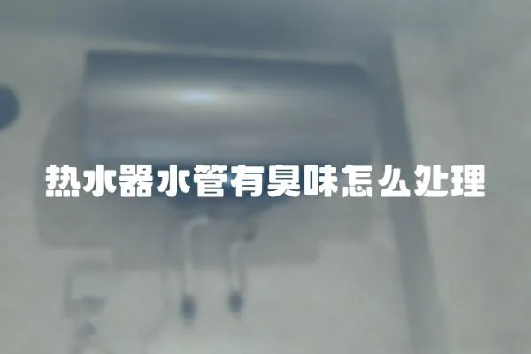 熱水器水管有臭味怎么處理