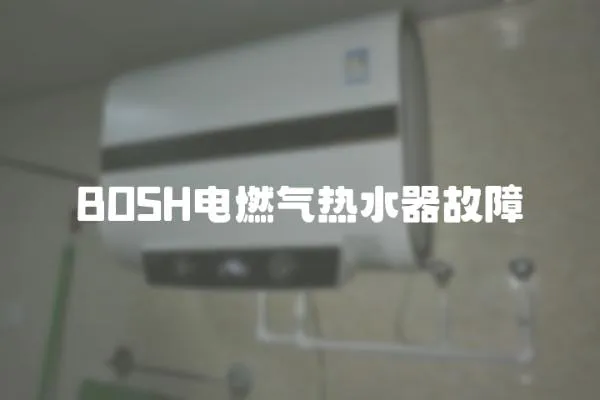 BOSH電燃氣熱水器故障