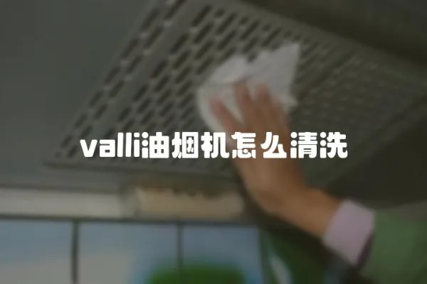 valli油煙機怎么清洗