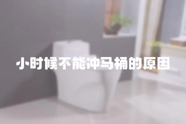 小時候不能沖馬桶的原因