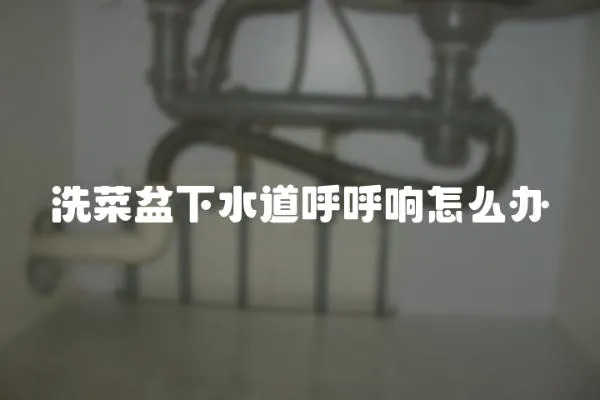 洗菜盆下水道呼呼響怎么辦