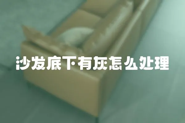 沙發(fā)底下有灰怎么處理