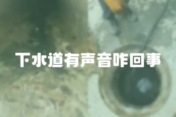 下水道有聲音咋回事