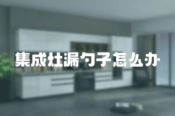 集成灶漏勺子怎么辦