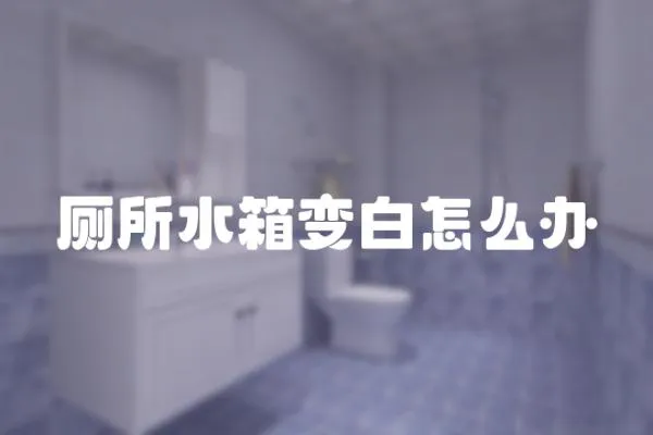 廁所水箱變白怎么辦