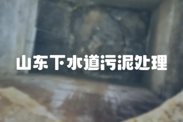 山東下水道污泥處理