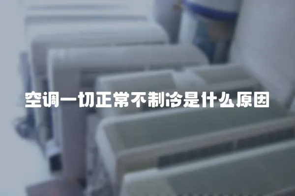 空調一切正常不制冷是什么原因