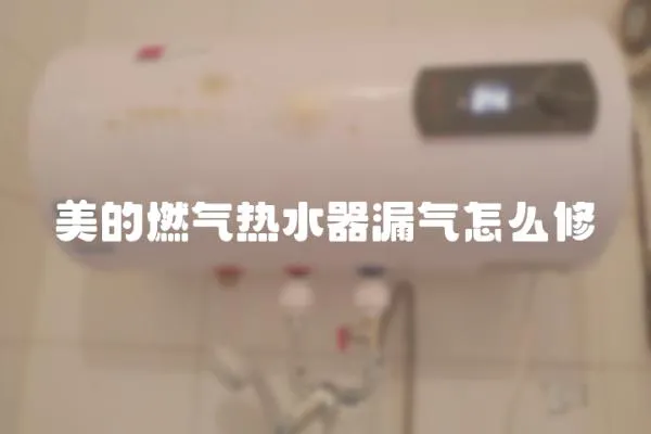 美的燃氣熱水器漏氣怎么修