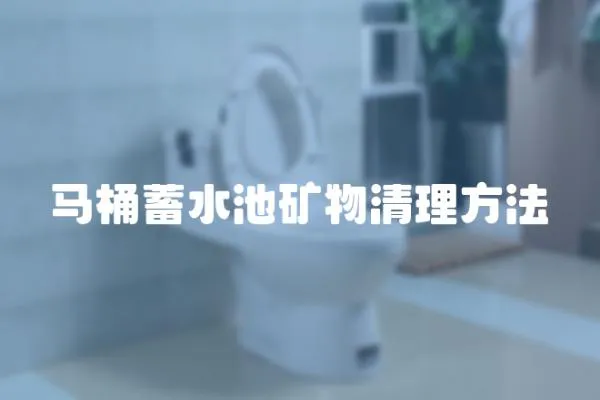 馬桶蓄水池礦物清理方法