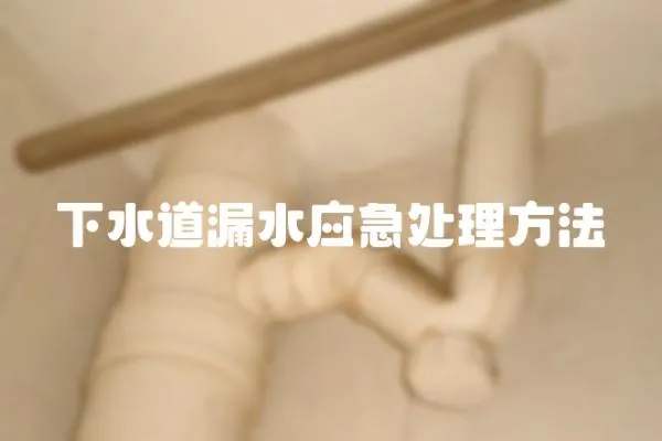 下水道漏水應急處理方法