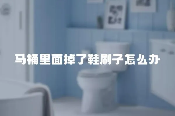 馬桶里面掉了鞋刷子怎么辦
