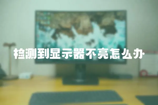 檢測(cè)到顯示器不亮怎么辦