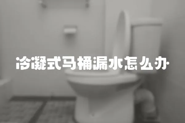 冷凝式馬桶漏水怎么辦