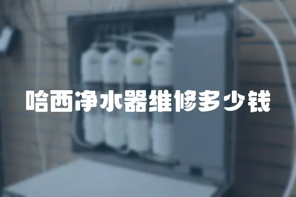 哈西凈水器維修多少錢