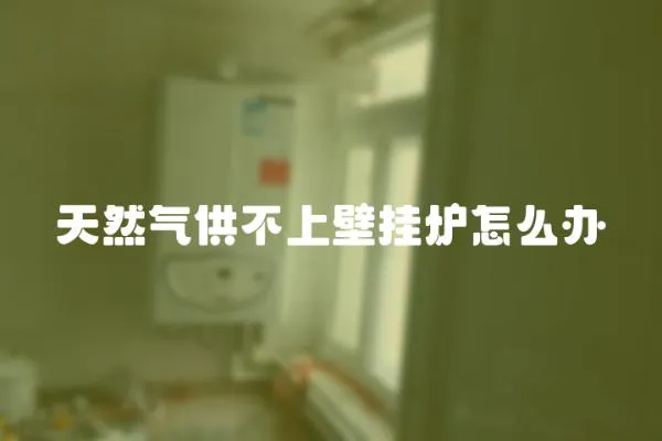 天然氣供不上壁掛爐怎么辦