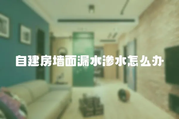 自建房墻面漏水滲水怎么辦