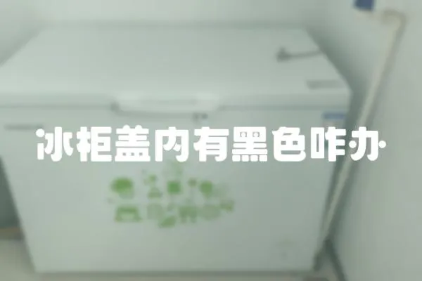 冰柜蓋內有黑色咋辦
