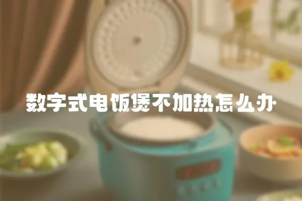 數(shù)字式電飯煲不加熱怎么辦