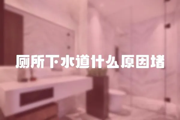 廁所下水道什么原因堵