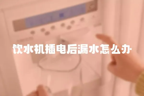 飲水機插電后漏水怎么辦