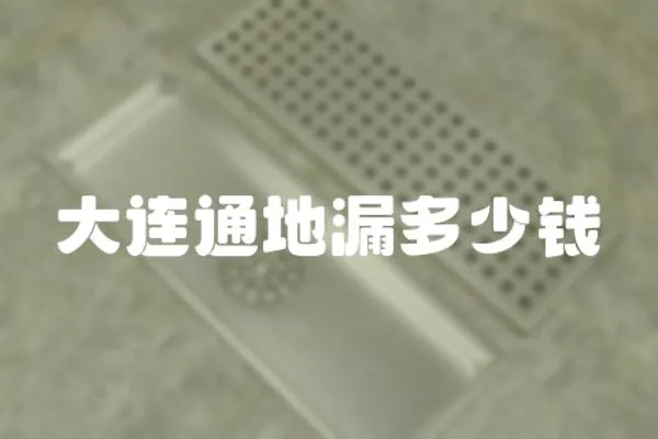 大連通地漏多少錢