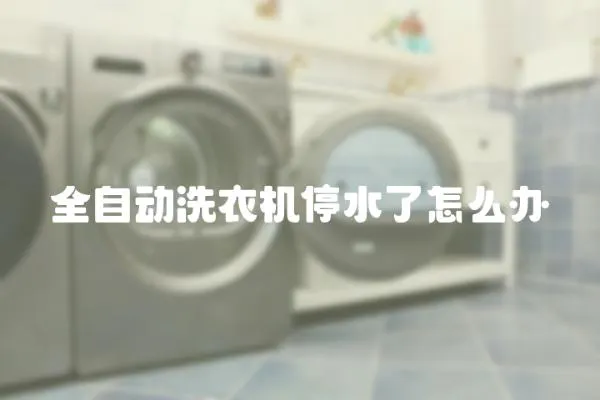 全自動洗衣機停水了怎么辦