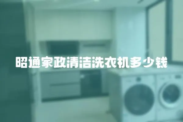 昭通家政清潔洗衣機多少錢
