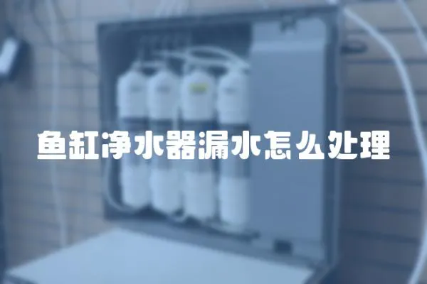 魚缸凈水器漏水怎么處理