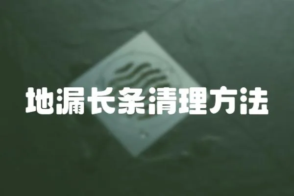 地漏長條清理方法