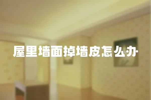 屋里墻面掉墻皮怎么辦